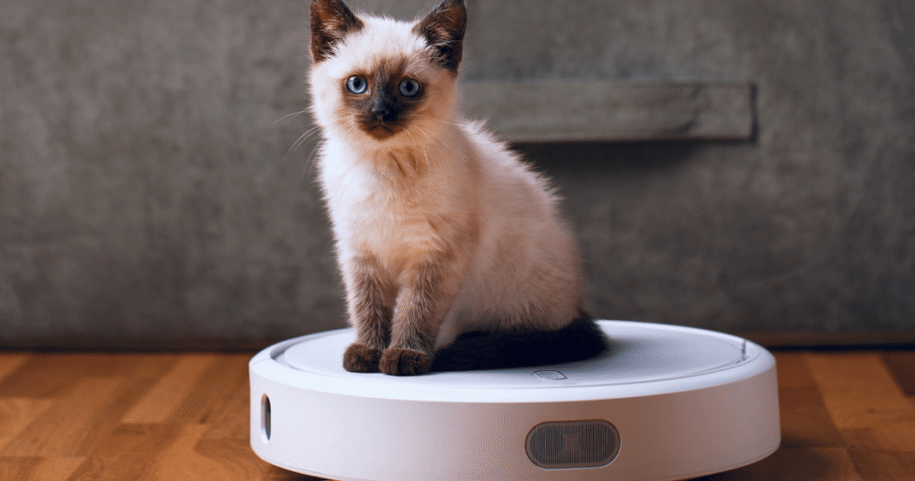 best robot vacuum cleaner for pet hair dogs cat